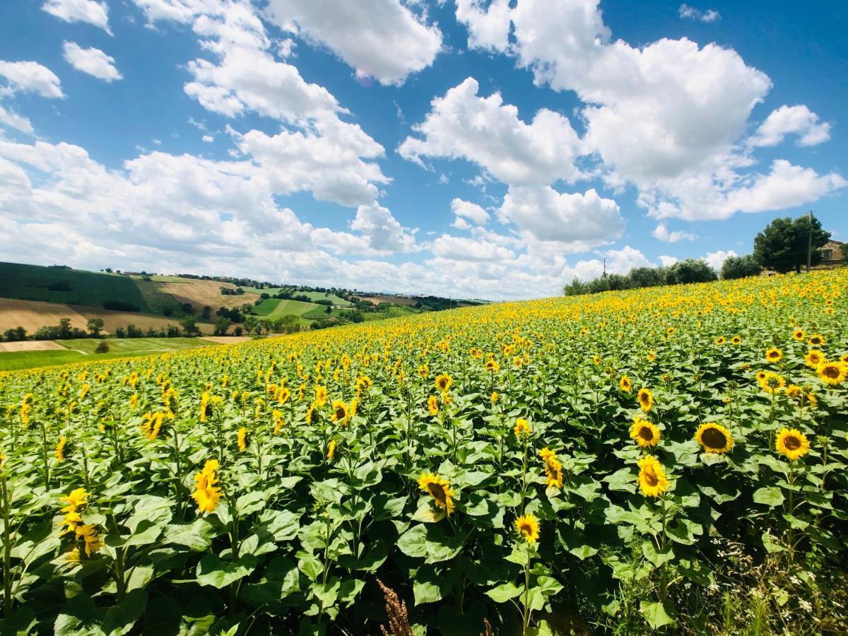 Ritorno Alla Natura Recanati Exterior foto